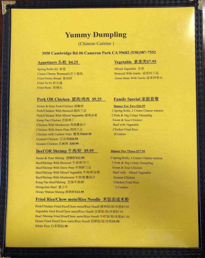 Yummy Dumplings - Cameron Park, CA